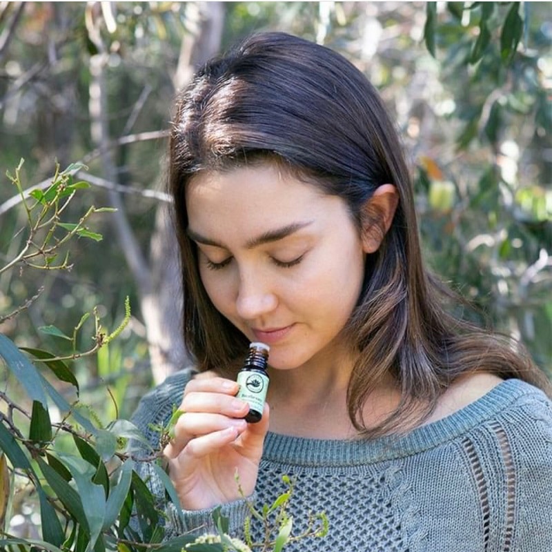 doTERRA breathe ブリーズイージーキットコンボ easy Air doTERRA Easy