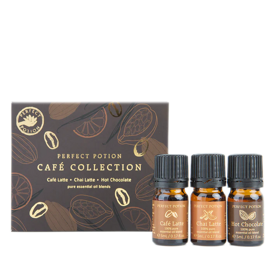 カフェ コレクション(カフェラテ・チャイラテ・ホットチョコレート)