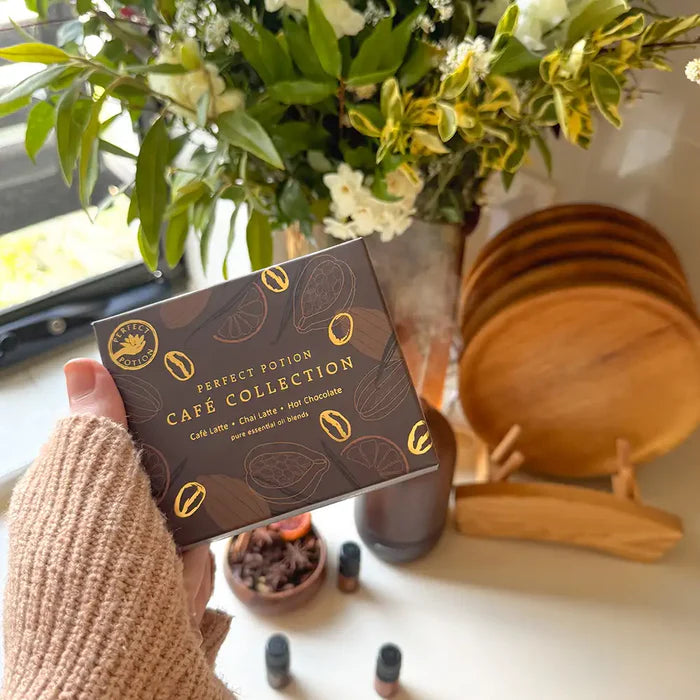 カフェ コレクション(カフェラテ・チャイラテ・ホットチョコレート)