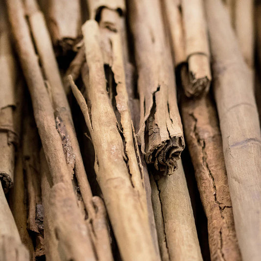 シナモンバーク 5mL