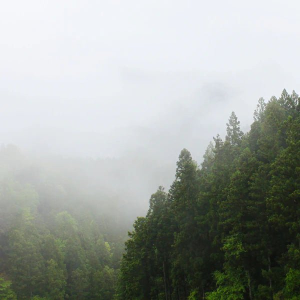 【直営店 限定】アウトドアボディスプレー 高野山 100mL