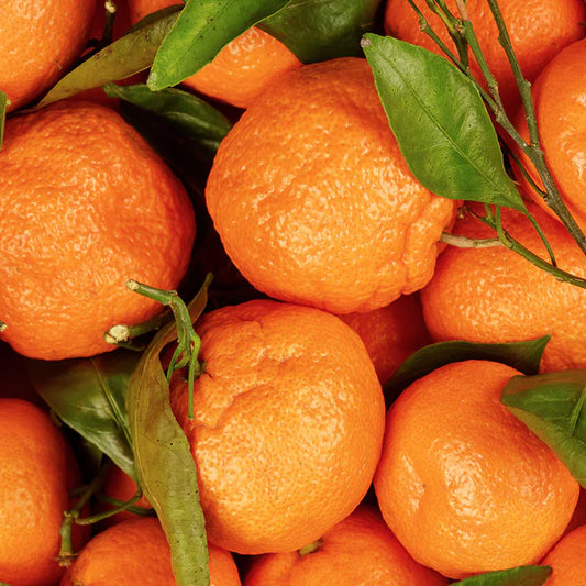 マンダリン 10mL