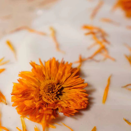 マリーゴールド コンディショナー 500mL