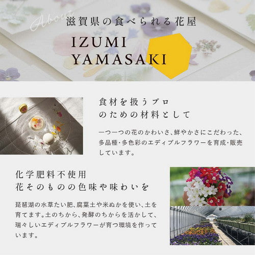 幸せを呼ぶ アロマ チョコレート 5枚入り