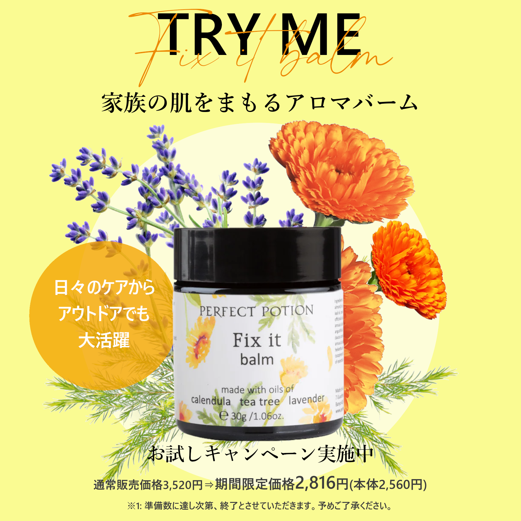 TRY ME 20%OFF】フィックスイットバーム 30g – パーフェクトポーション