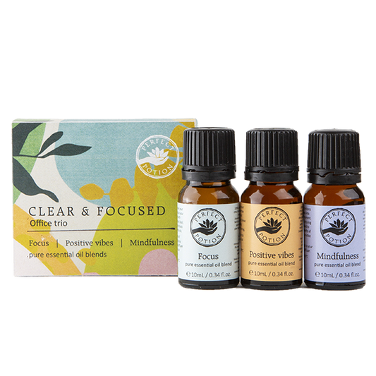 クリア アンド フォーカス オフィス トリオ