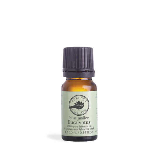 ユーカリプタス ブルーマリー  10mL