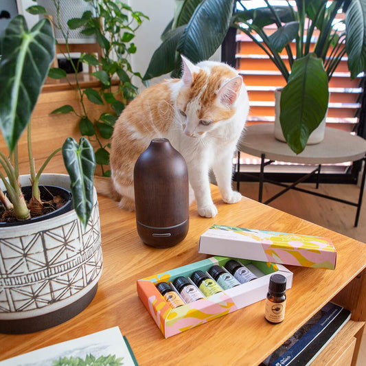 ホームサンクチュアリ ブレンドオイル キット