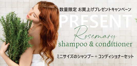 【数量限定】シャンプー＆コンディショナー 50mL セット プレゼント