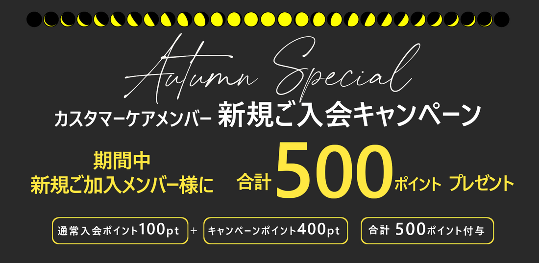 新規メンバー登録 500ポイントプレゼントキャンペーン