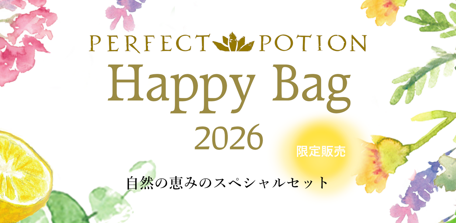 ハッピーバッグ 2026