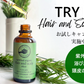 【TRY ME 20%OFF】ヘアー＆スカルプ エリクサー 50mL