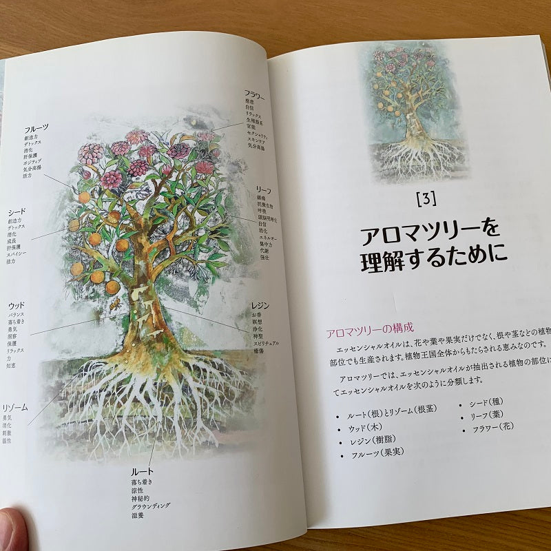 アロマツリー【日本語版】