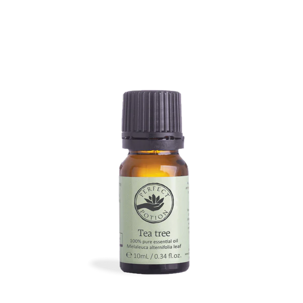 ティーツリー　10mL